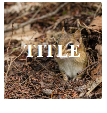 files/tmp/1590487490-werwer.png
